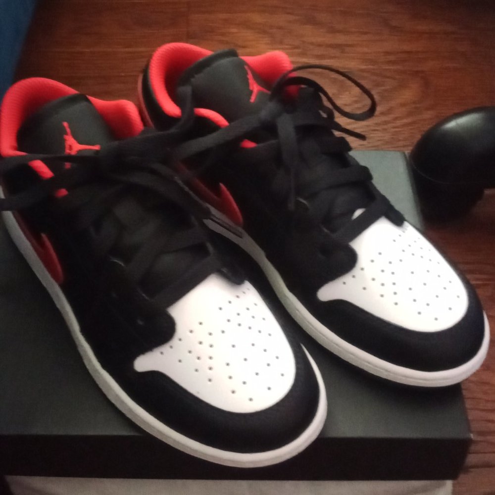Low Top 1's Nike Air Jordans Dunks